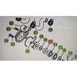 Anello Paraolio Pompa Acqua Beta REV-EVO 04-18